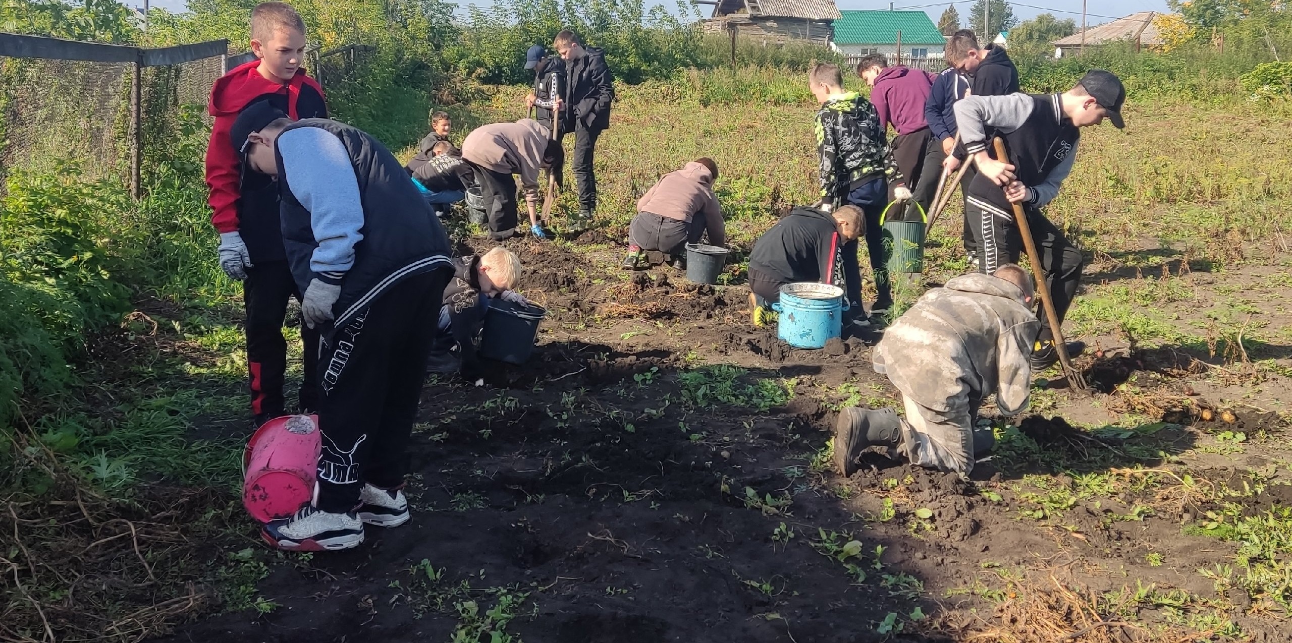 СБОР УРОЖАЯ!.